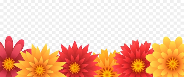 Border or frame of flowers Vector illustration isolated on transparent background