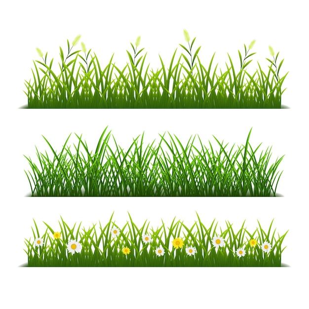 Border of grass realistic style