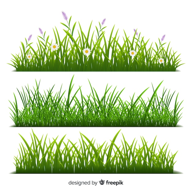 border of grass realistic style