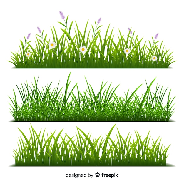 Border of grass realistic style