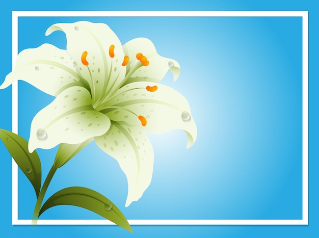 Vector border template with white lily