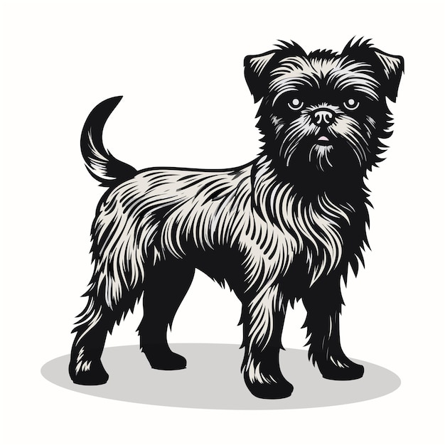 Border Terrier silhouettes and icons black color white background animal vector and illustration