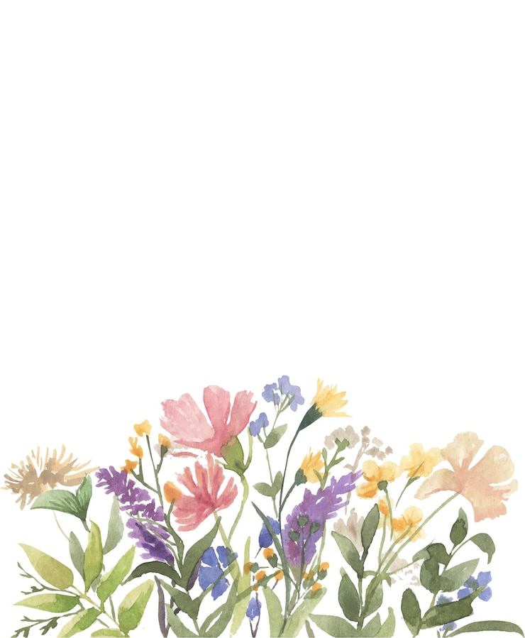 Vector 수채화 야생 꽃의 경계