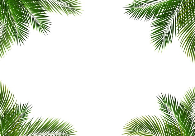 Vector border with palm tree leaves