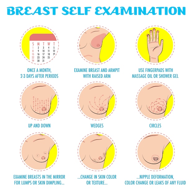 Borstkanker maandelijks onderzoek infographics