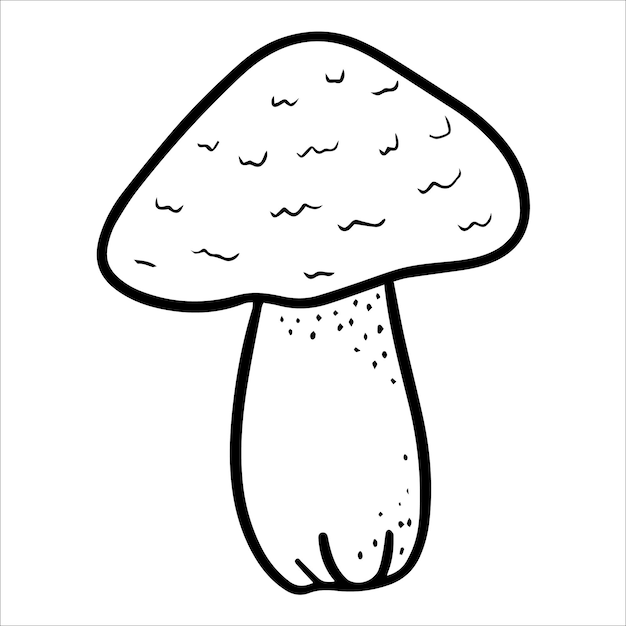 bos paddestoel. herfstgeschenken van het bos. Vegetarisch eten, goede voeding