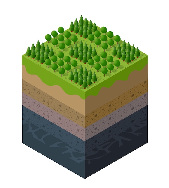 Bosbouwgrondlagen geologisch en ondergronds