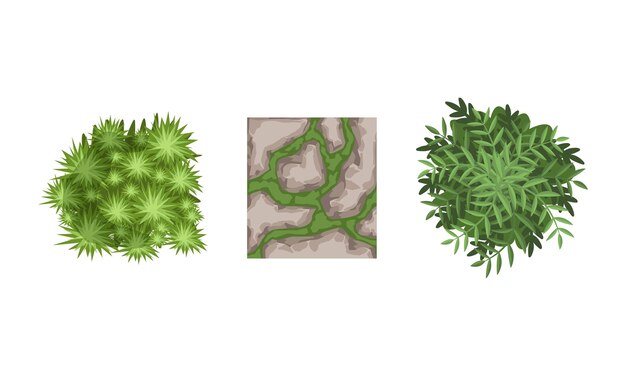 Bosgroei en grindpaden als vectorverzameling van landschapselementen