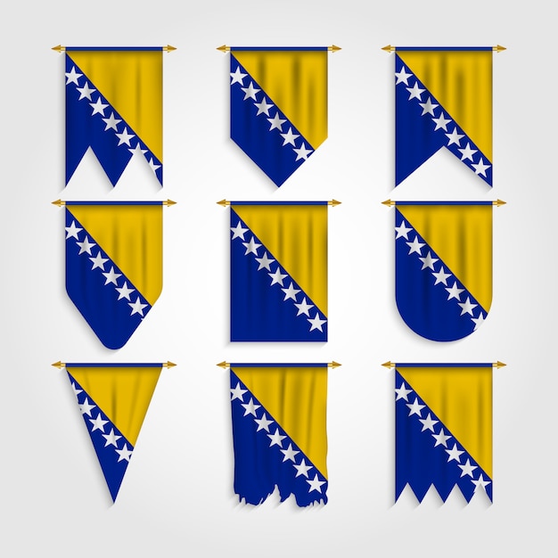 Vector bosnia and herzegovina flag in different shapes