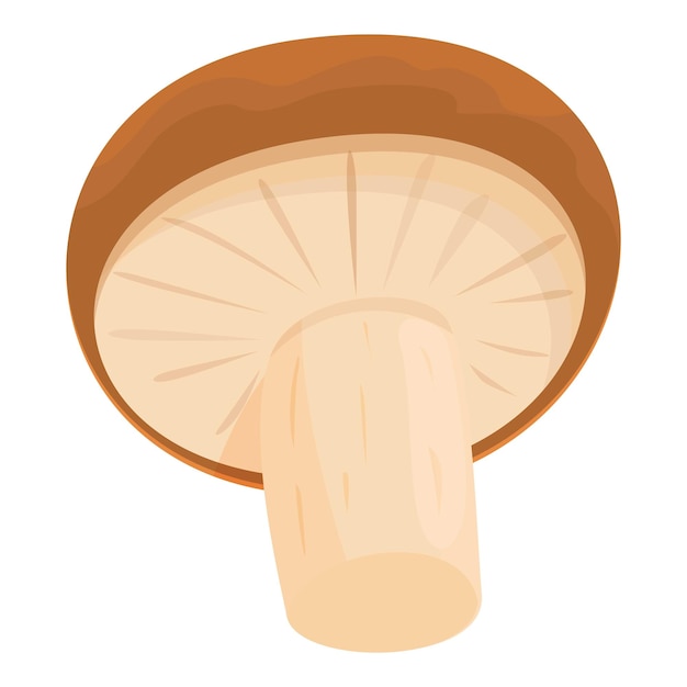 Bospaddestoel pictogram cartoon vector Shiitake voedsel Witte morel