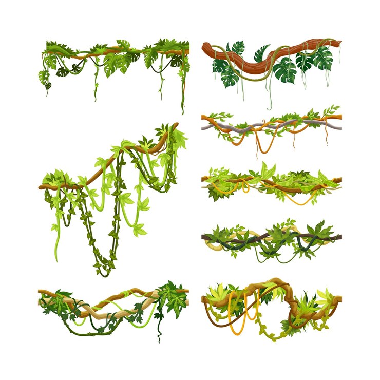 Vector bosplantengroei