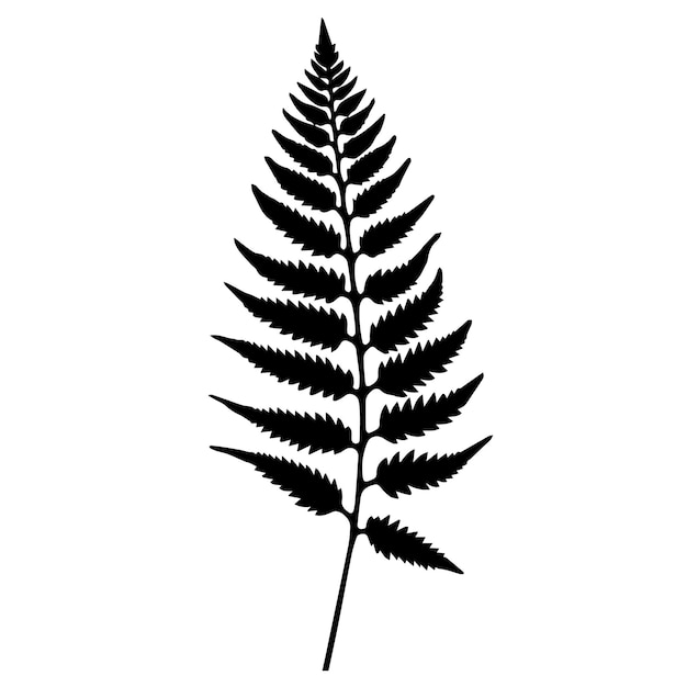 Boston fern leaf black and white vector template set for cutting and printing