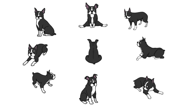 Vettore set di personaggi dei cartoni animati di boston terrier