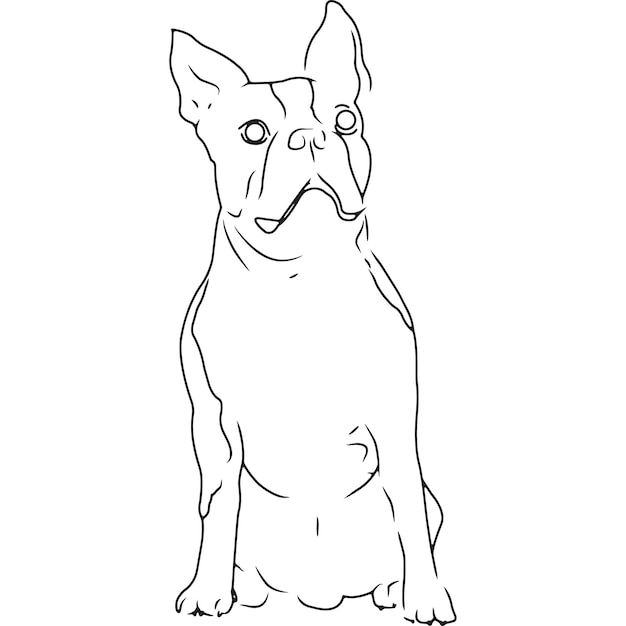 Boston Terrier Dog Hand Sketched Vector Drawing