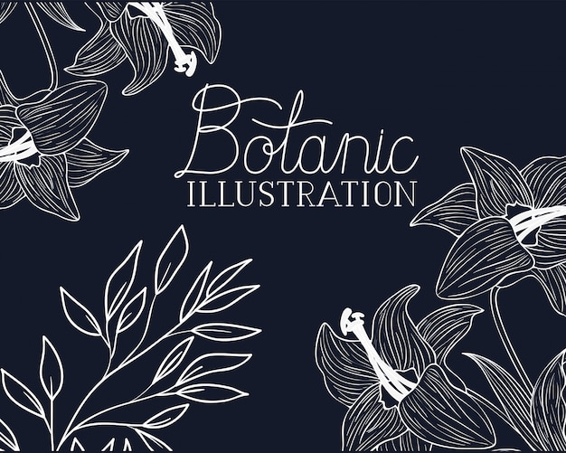 Botanic illustration label with plants