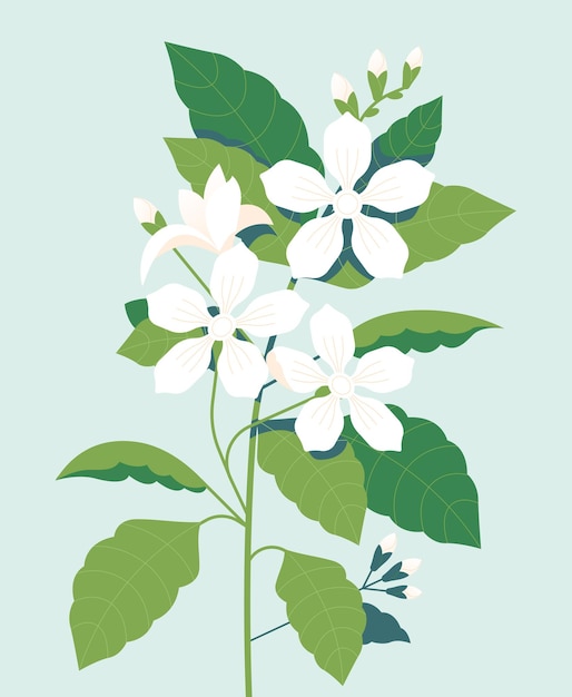 BOTANICAL 06