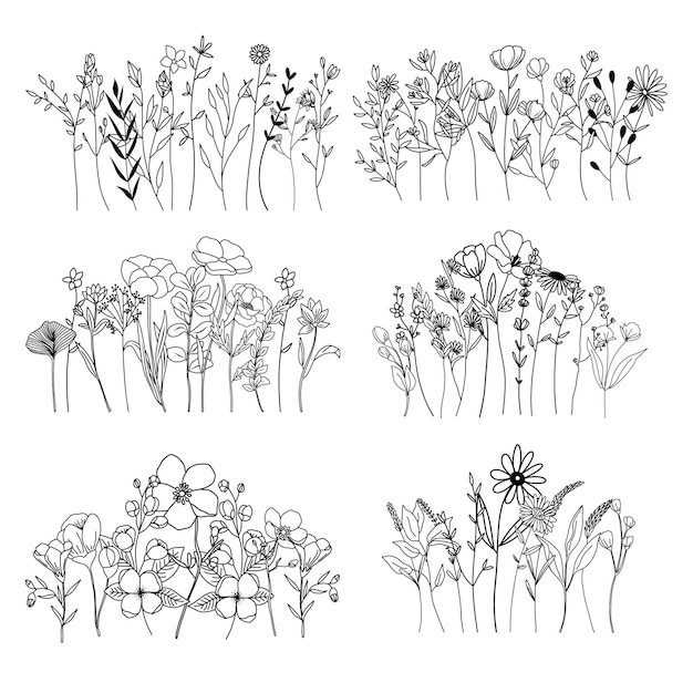 Vector botanical abstract line art composition minimal floral border of hand drawn herbs flowers leaves