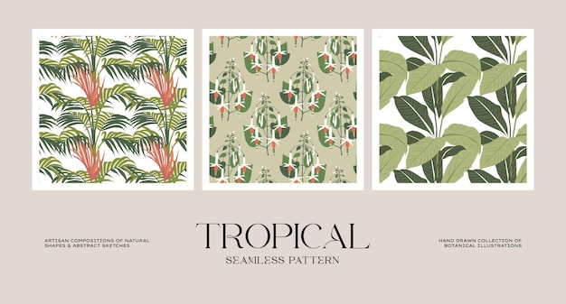 벡터 포장지 또는 포장 디자인을 위한 식물 및 열대 꽃 원활한 패턴 컬렉션