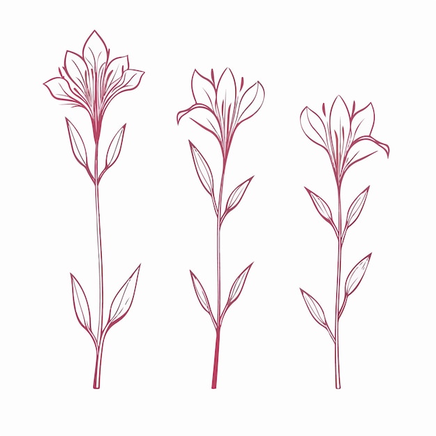 Botanical azalea illustrations in outline style perfect for naturethemed designs