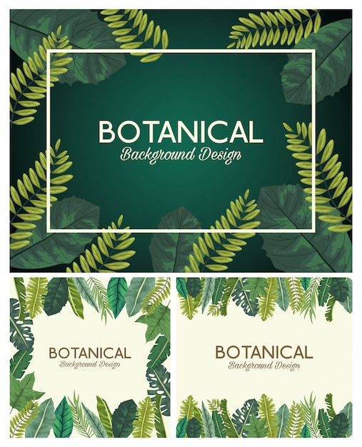 Set di sfondo botanico