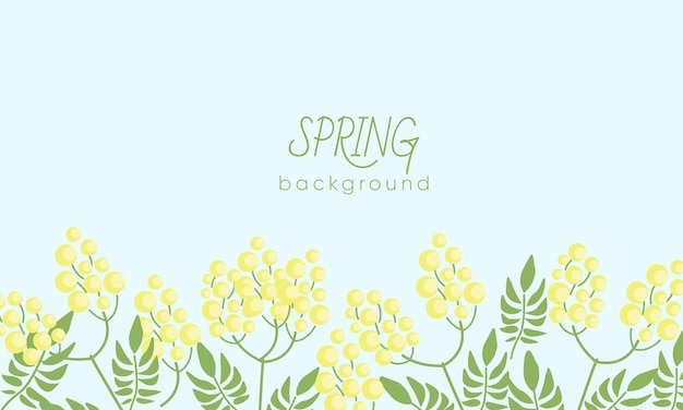 Botanical background with yellow mimosa flowers and leaves