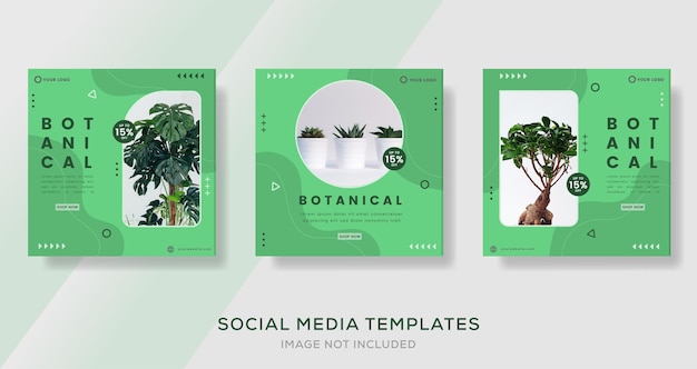 Botanical banner for social media template post premium