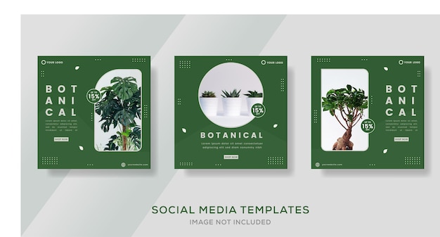 Modello di banner botanico per post premium sui social media