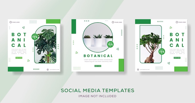 Vector botanical banner template for media social post preimum vector