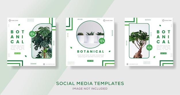 Modello di banner botanico per post sui social media. vettore premium