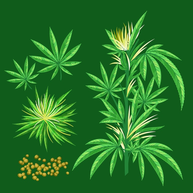 ベクトル 植物性大麻の葉