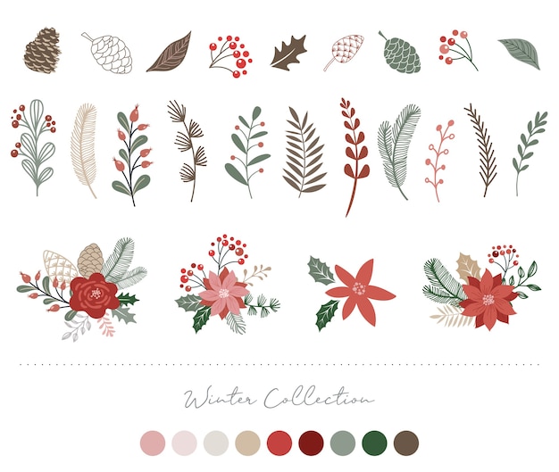 Botanical christmas elements- flowers, leaves, birds and pinecones isolated on white backgrounds.