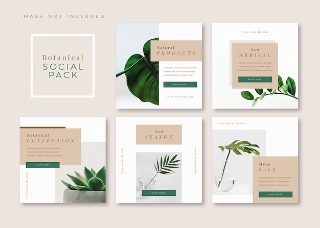 Botanical clean simple square social media template for instagram, facebook, carousel