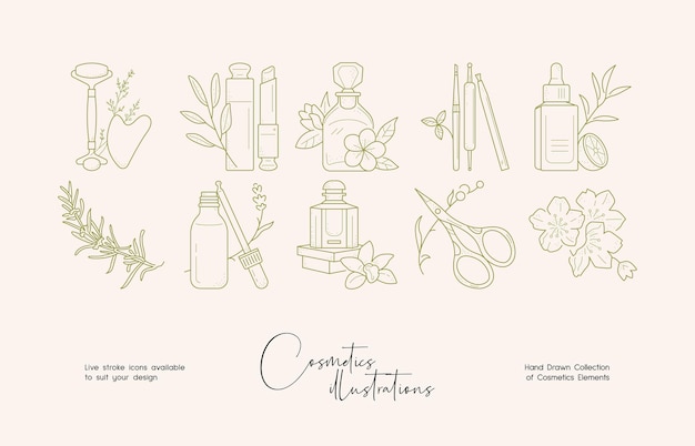 Botanical cosmetics line art illustration set for brand identity