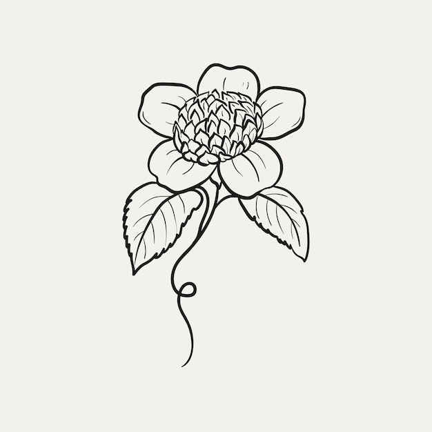 Вектор Ботанический рисунок минимальный растительный логотип ботанический графический эскиз рисунок луговой зелени