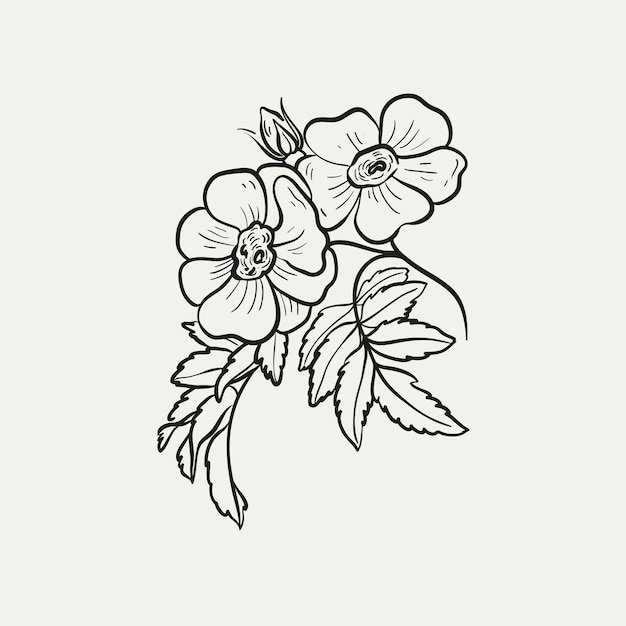 Vettore disegno botanico minimo logo vegetale schizzo grafico botanico disegno prato verde