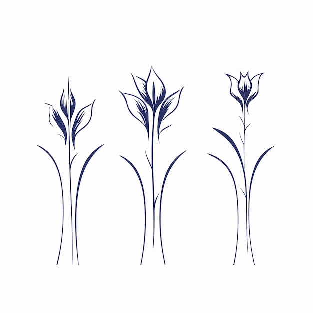 L'eleganza botanica catturata in illustrazioni vettoriali di bluebell con dettagli intricati