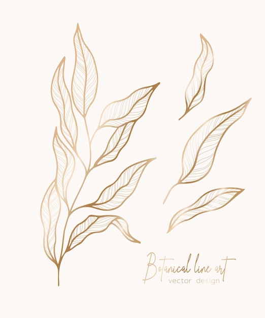 Вектор Ботаническая изящная золотая иллюстрация ветви листьев