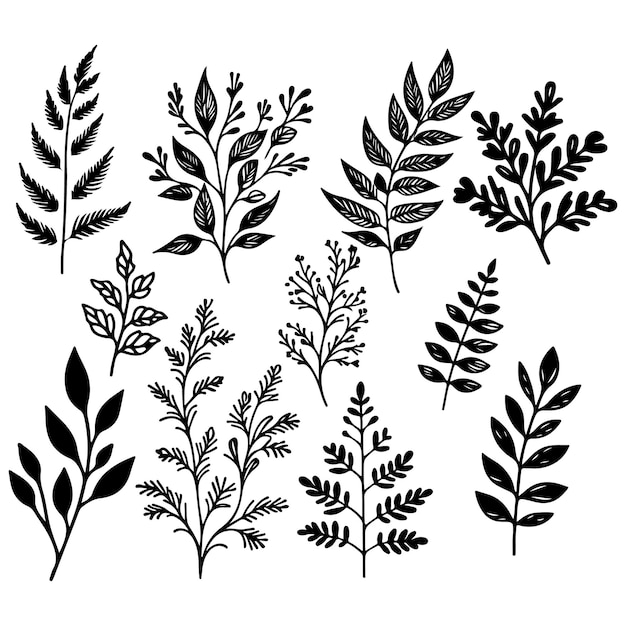 Vector botanical floral branch hand drawn silhouette vector illustration