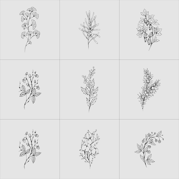 Ramo floreale botanico e fiori minimalisti per logo o tatuaggio set di fiori linea disegnata a mano