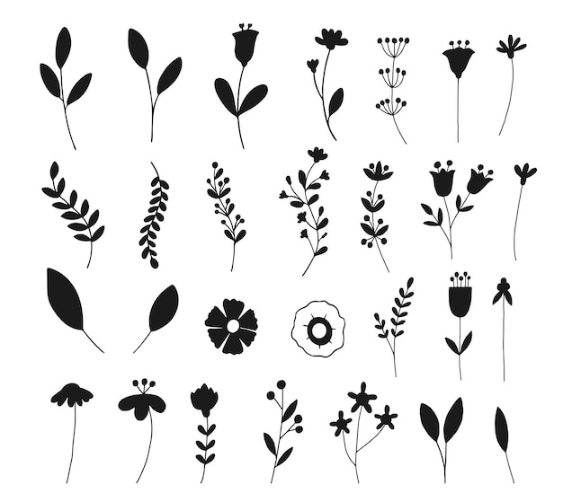 Botanical floral flower element's set isolated vector Silhouette