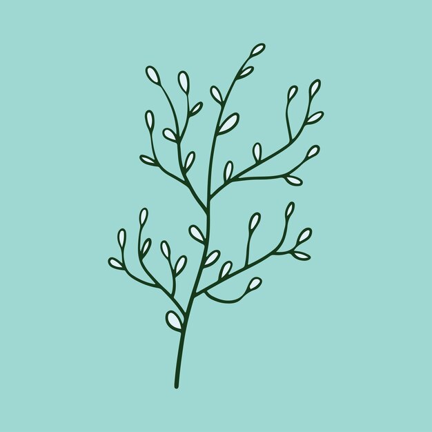 植物の花のイラスト