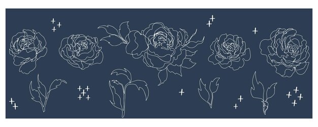 Vector botanical floristic set contour flowers open buds and closed isolated minimalistic flowers