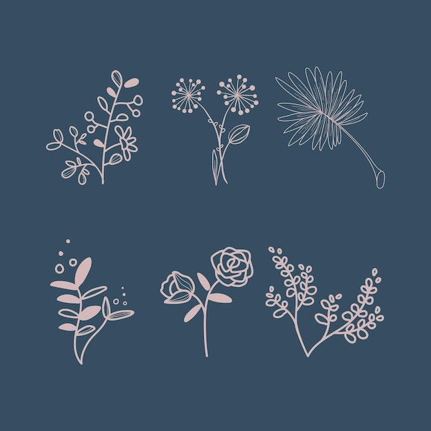Дизайн иллюстрации ботанической коллекции цветов