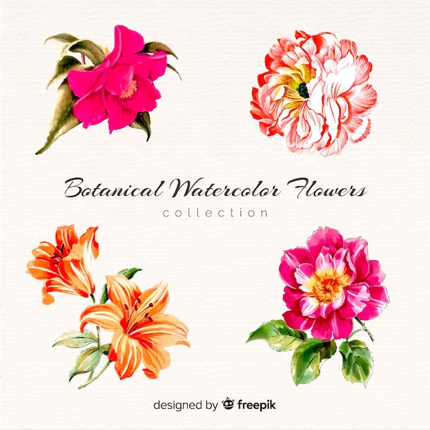 Botanical flower and leaves collection