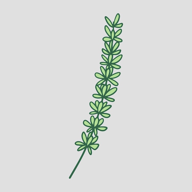 Vector botanical flower ornament