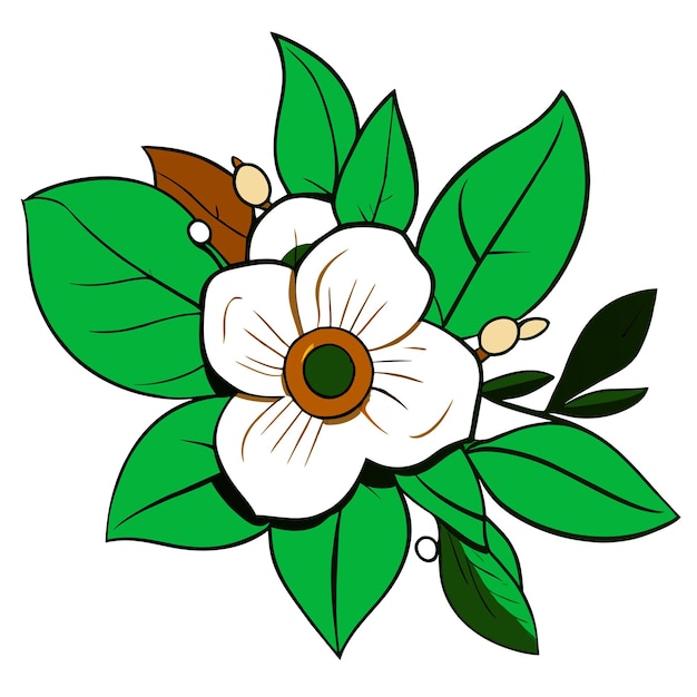 Vector botanical flower with green leaves