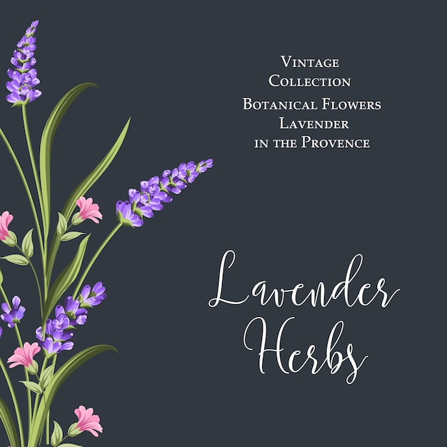 Botanical flowers poster.