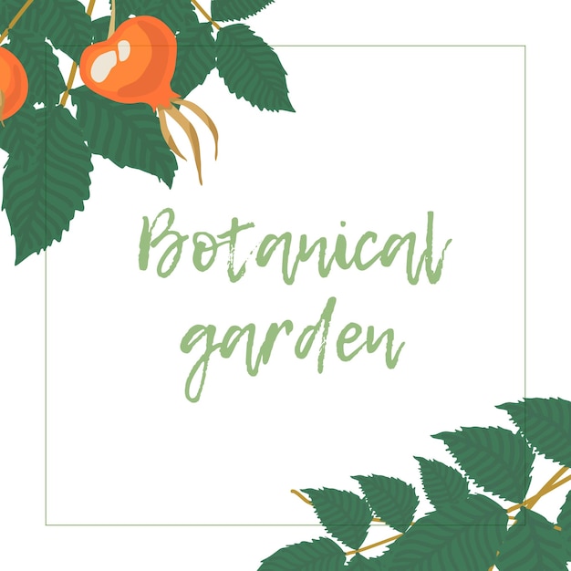 Vector botanical garden delicious ripe berries