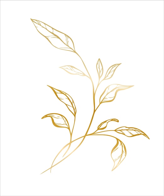 웨딩 초대 및 카드 로고 디자인 웹을 위한 잎 가지의 식물학적 황금 일러스트레이션