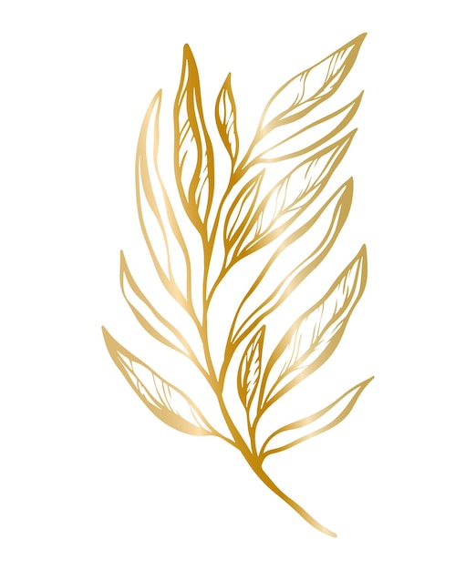 Vector botanical golden illustration of a leaves branch for wedding invitation and cards logo design web